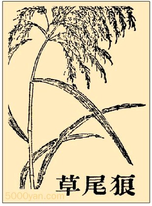 βݲͼ