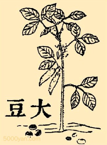 󶹲ͼ