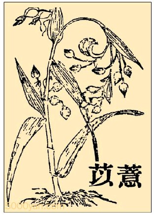 ޲ӣy yͼ