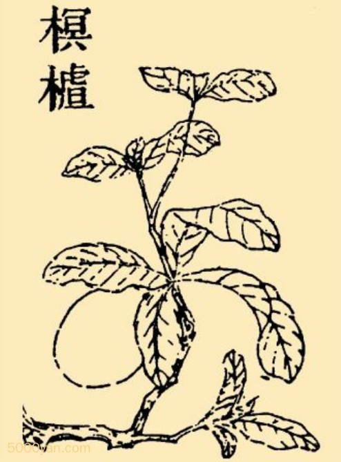 imng髲ͼ