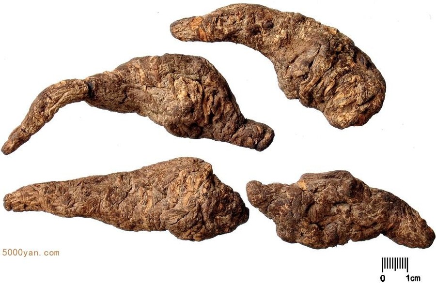 ػƲͼ
