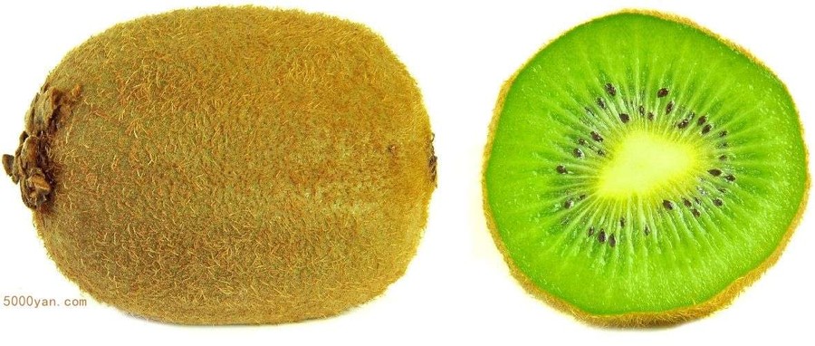 ⨺Ҳͼ