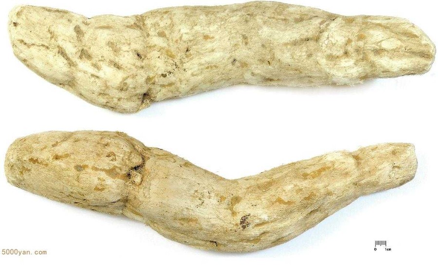 ͼ